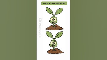 find 3 Differences #144