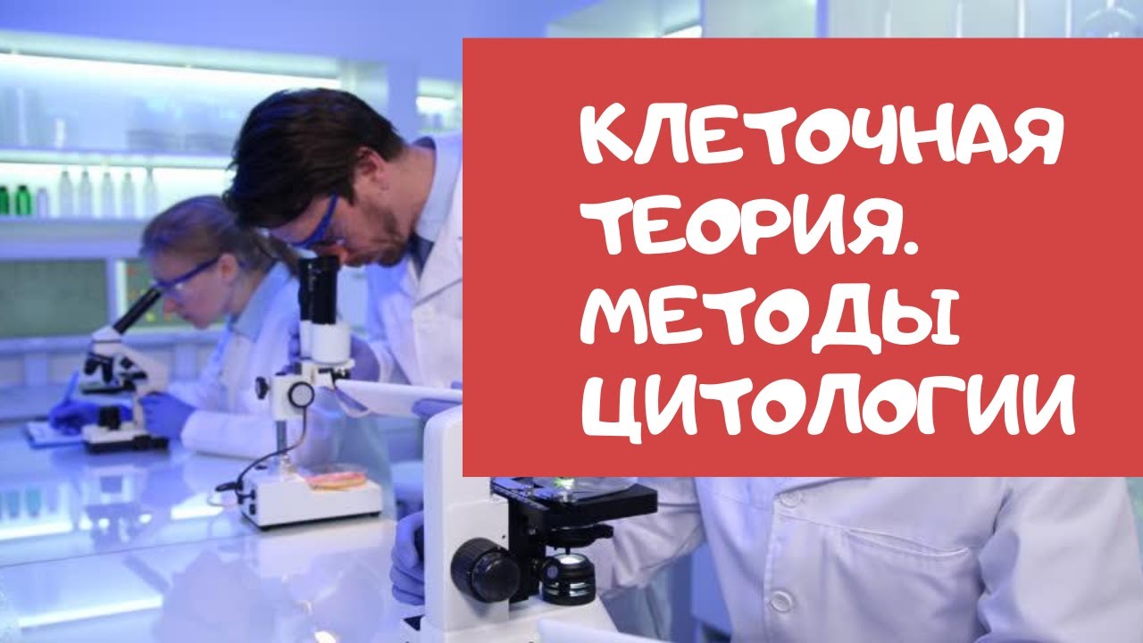 Клеточная теория. Методы цитологии. - YouTube