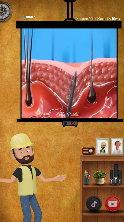 Fun facts: What should you do if you get stabbed by a splinter? #funfacts #cndrpreset #animation