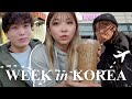 Spend a week in korea with me  convenience store food adventures with sykkuno  miyoung