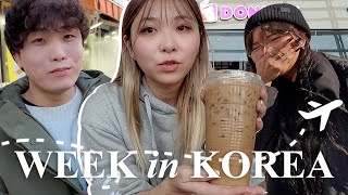 spend a week in korea with me!  convenience store food, adventures with sykkuno & miyoung!