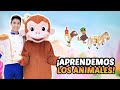 Los Animales - Clases para niños en casa - Aprende en el Castillo Mágico