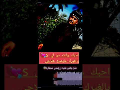 منتظره واتاني شوكت يرجعلي