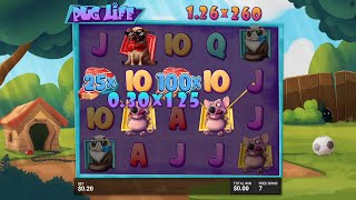 MAX WIN ON PUG LIFE (7500X)