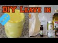 DIY leave in moisture mix for dry or damaged hair
