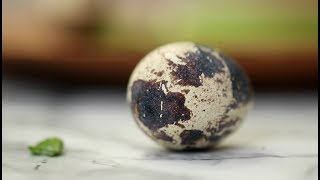 Перепелиные яйца: стоит ли переплачивать?