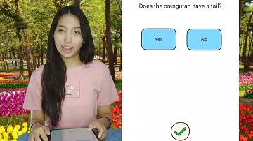 Brain Find Level 96 Does the orangutan have a tail