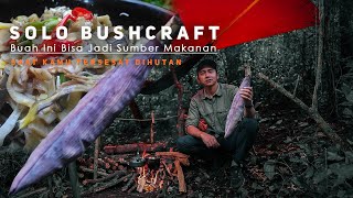 Solo Bushcraft Overnight | MENCARI SUMBER MAKANAN DIHUTAN | ASMR