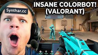 I Install And Showcase Valorant Colorbot (INSANE) !