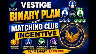VESTIGE BINARY PLAN  WITH MATCHING INCOME