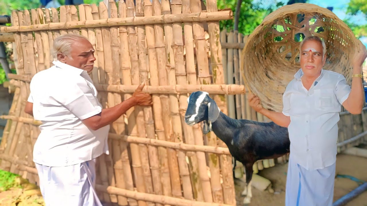 ஆடுகளுக்கு மூங்கில் பரல் தட்டி 50 ஆண்டுகளாக செய்யும் ஐயா | பரன் ஆடு வளர்ப்பு | Siva Arun Tv