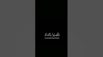 ﴿سورة فصلت﴾#قران_كريم #المصحف #اكسبلور #لايك