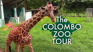 The Dehiwala Zoo Tour- oldest zoological gardens in Asia