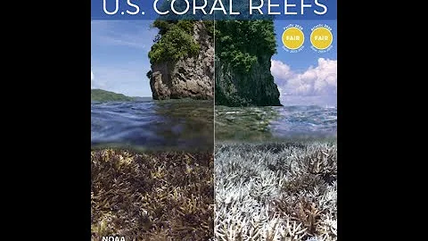 National Coral Reef Status Report- Jennifer Koss P...