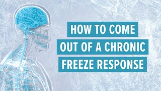 How to come out of a chronic freeze response (Rerun of my most viewed #nervoussystem video to date)