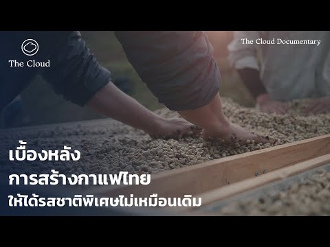 Special Process การสร้างรสใหม่ให้กาแฟไทยพันธุ์เดิมด้วยกระบวนการพิเศษ | Cloud Documentary