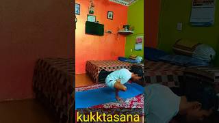 kukkutasana  | #yogaandfitnesswithshiva #ytshorts #shorts #trending #challenge #yogapose #love