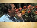 Chapoutier: Chante-Alouette