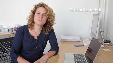 PLANTS Tuning plant signaling and growth to survive salt