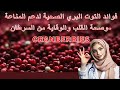 فوائد التوت البري الصحية لدعم المناعة وصحة القلب والوقاية من السرطان Cranberries Emandiets 