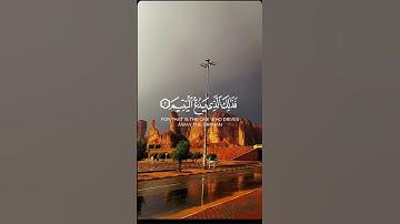 #قران_كريم #قرآن #راحة_نفسية #تلاوة_خاشعة #تلاوة_هادئة #تلاوات #تلاوة #لايك #اكسبلور