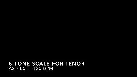 Vocal Warm-Up: 5 Tone Scale for Tenor (A2 - E5) - 120 BPM (2 notes per beat)