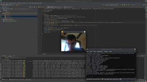 Rust Streams H.264 Video After Reading it from Shared Memory that was Written by a Webcam