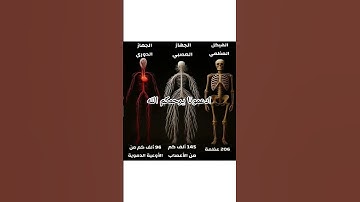 قران كريم #العظماء #اكسبلور #الظروف #الرمال #ترند #النظافه #تيك_توك #لايك #دويتو #july16th