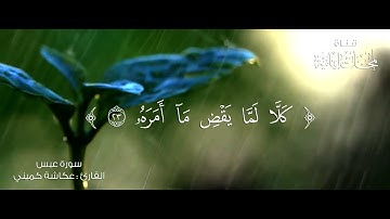 سورة عبس 17-32 | القارئ عكاشة كميني