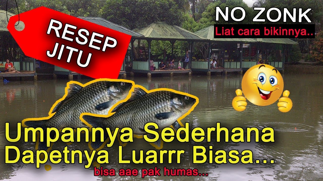 Resep Dan Cara Membuat Umpan Pancing Ikan Mas Buat Para Mancing Mania