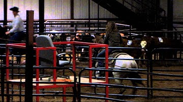 Play With My Cat - sorting practice 5 - Valley View Ranch