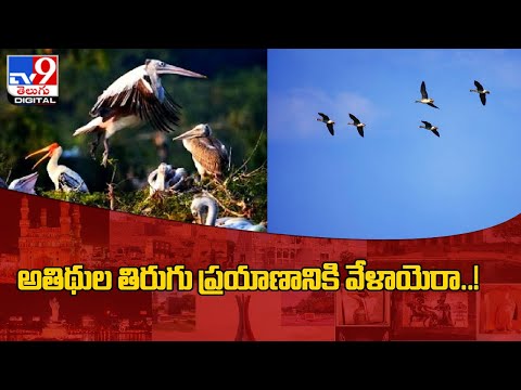 అతిథుల తిరుగు ప్రయాణానికి వేళాయెరా..! - TV9Digital