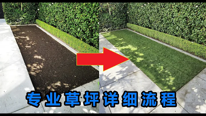 （字幕）如何专业铺草坪，专业草坪铺设详细流程。重点技术指导。草坪铺设详细视频解说。 - 天天要闻