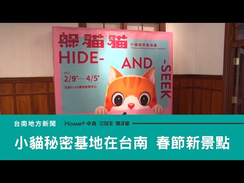 台南打卡景點｜小貓秘密基地在台南 春節有趣的貓咪樂園