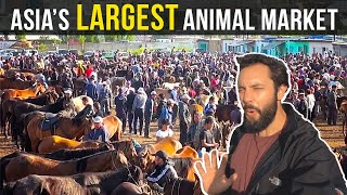 Kyrgyzstan - A Journey into Asia's Largest Animal Market by Alex Chacon 6,685 views 2 years ago 1 minute, 49 seconds