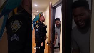Macaw : Open Up we brought the snacks 😂🤣😜 Funny Talking Parrot and Cops #shorts  #shortvideo