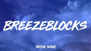 alt-J - Breezeblocks (Lyrics) "Please don't go, I love you so, my lovely [TikTok Song]