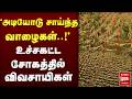 அடியோடு சாய்ந்த வாழைகள் ... !உச்சகட்ட சோகத்தில் விவசாயிகள்| Covai |farming