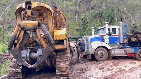 Logging with the Caterpillar D6H Dozer Amazing Machine