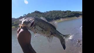 Bass fishing in northern california anderson reservoir morgan
hill.pinto lake watsonville.almaden san jose.san luis santa nella.loch
lomo...