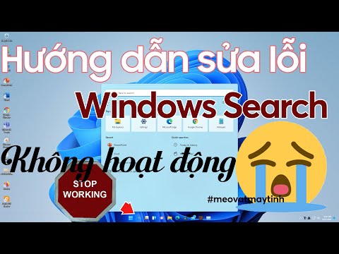 Cách sửa lỗi Windows Search không hoạt động Windows 11 – 10