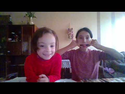 დავალებების შესრულება, ნინო და მარი ცდილობენ შეასრულონ ყველა დავალებაა.