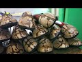 صناعة المركوب السوداني مهد دة بالدخلاء والأحذية الصناعية صناعة المركوب السوداني مهد دة بالدخلاء والأحذية الصناعية