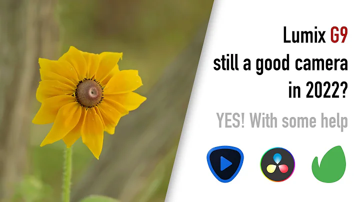 Is Lumix G9 still a good camera in 2024? Yes, more than you think!