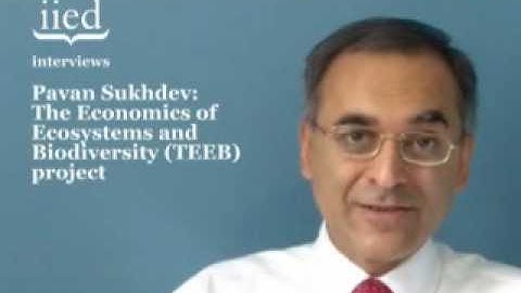 IIED Interviews: Pavan Sukhdev on the 
