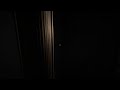 Scary Night |  Donkey Live