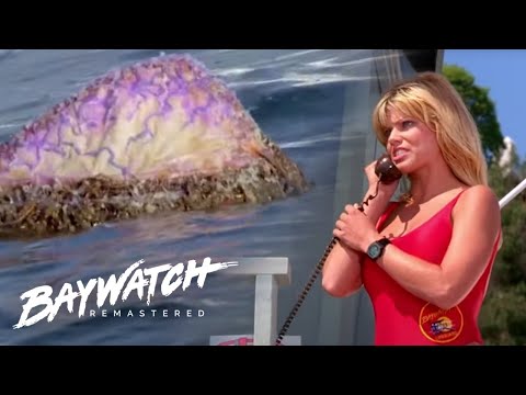 GIANT JELLY FISH STING!! Will She Be Ok!? Mitch & The Team Are On Hand! Baywatch Remastered