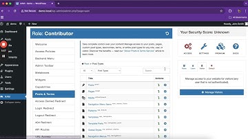 Mastering WordPress Content Access with Posts and Terms in Advanced Access Manager