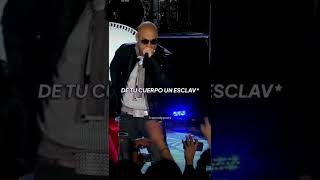 QUISIERA estar SIEMPRE a tú LADO, huir de TODO MAL #wisinyyandel #estoyenamorado #reggaeton