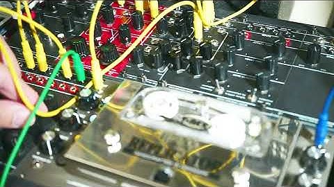 T-rex Replicator Tape Echo Modular
